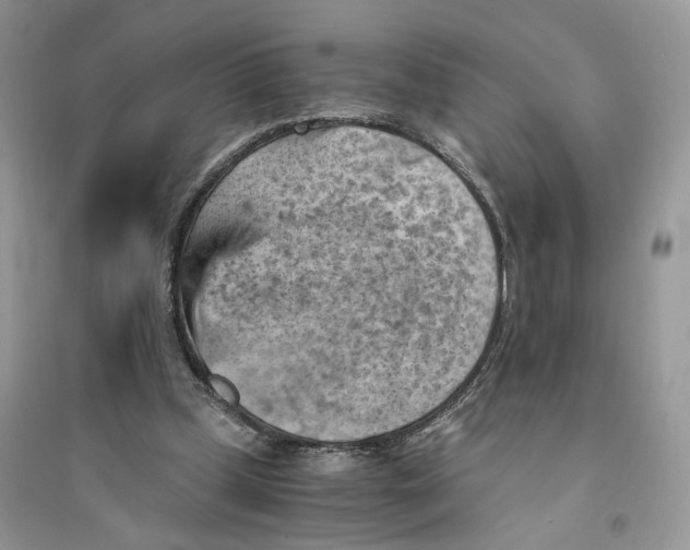 X0000094450249200711291706