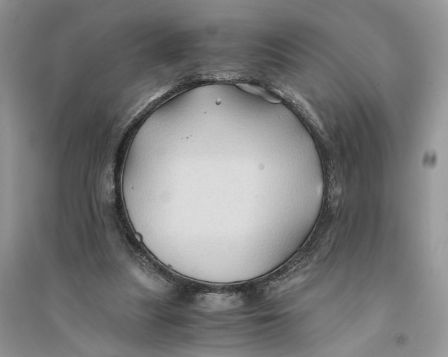 X0000094450251200711291706