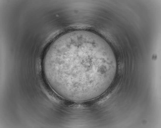 X0000094450254200711291706