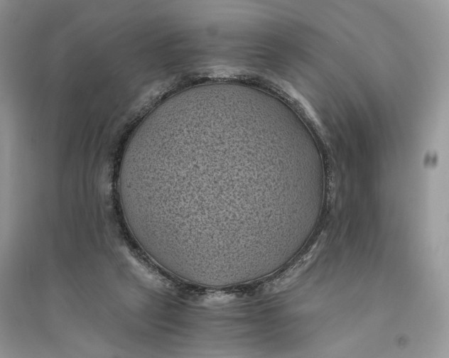 X0000094450257200711291706