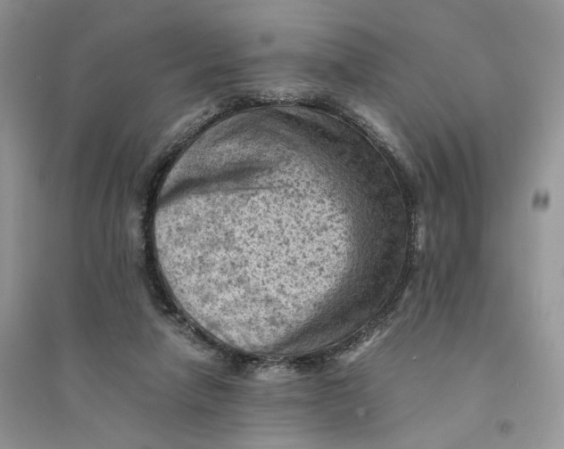 X0000094450258200711291706