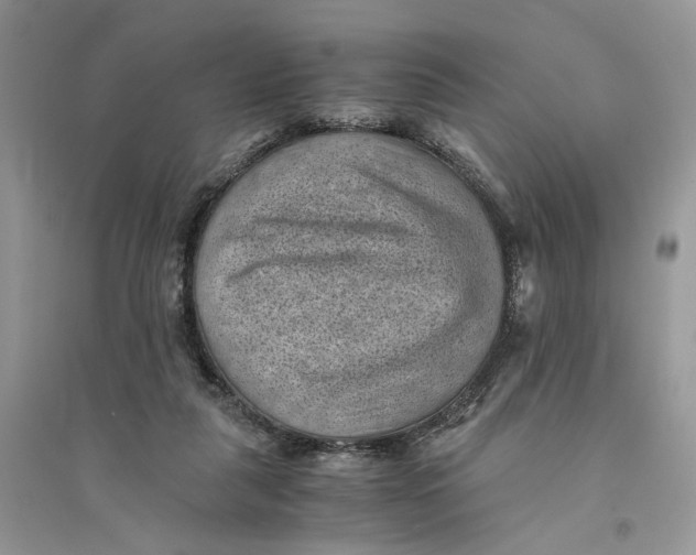 X0000094450259200711291706