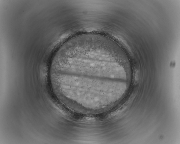 X0000094450260200711291706