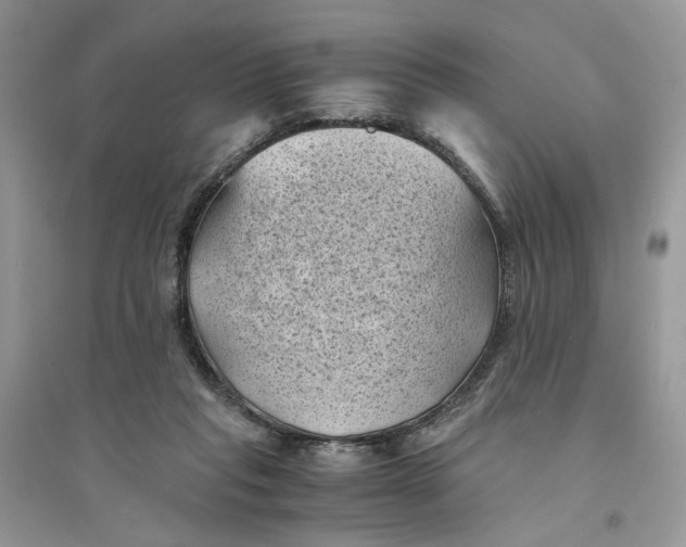 X0000094450261200711291706