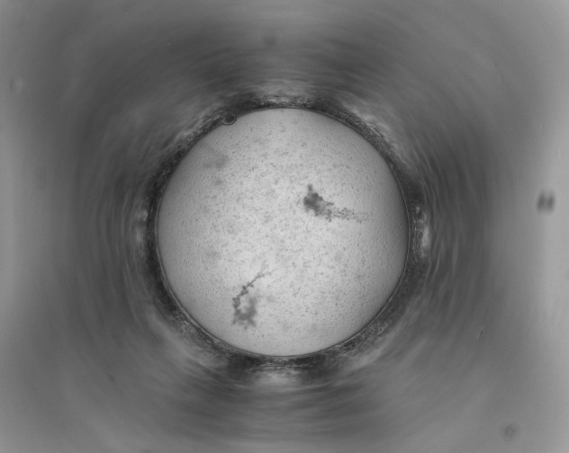 X0000094450263200711291706