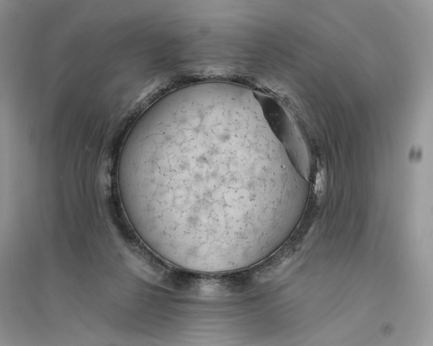 X0000094450264200711291706