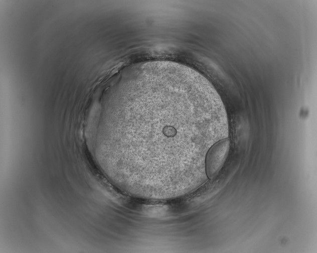 X0000094450266200711291706