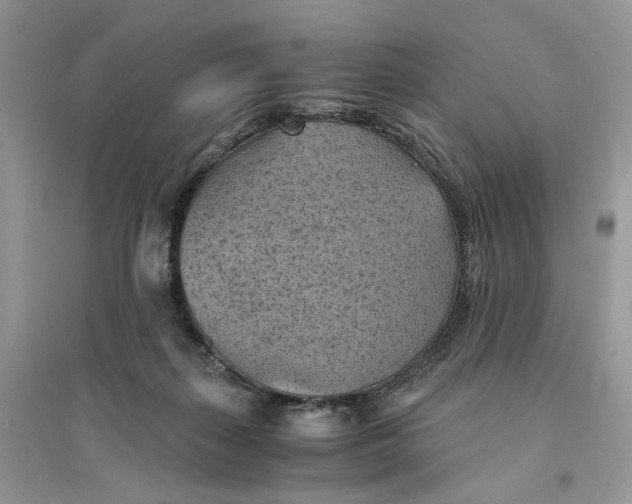 X0000094450267200711291706