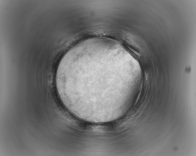 X0000094450268200711291706