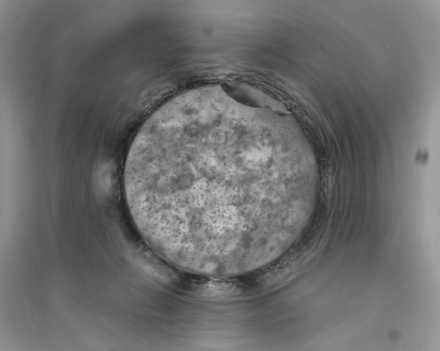 X0000094450270200711291706