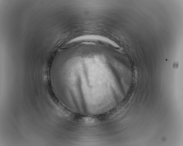 X0000094450272200711291706