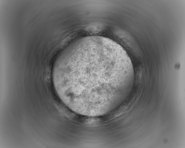 X0000094450274200711291706