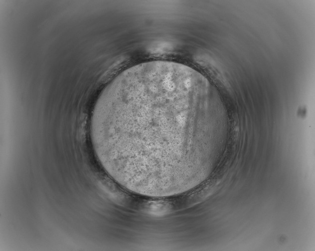 X0000094450275200711291706