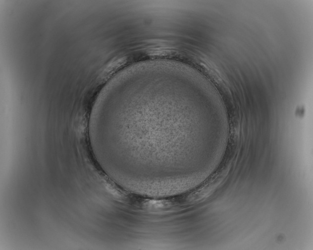 X0000094450277200711291706