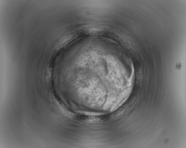 X0000094450278200711291706