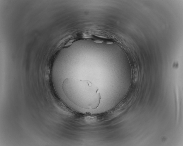 X0000094450279200711291706