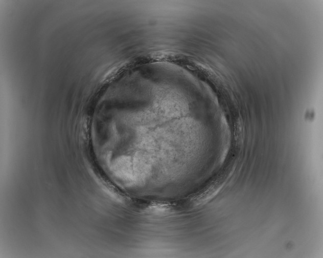 X0000094450280200711291706