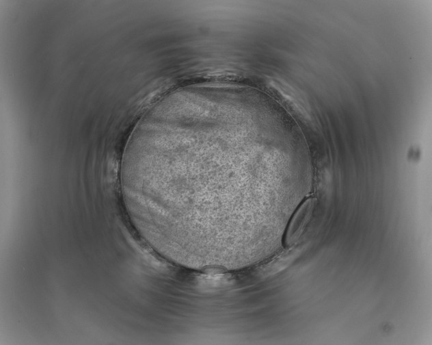 X0000094450281200711291706