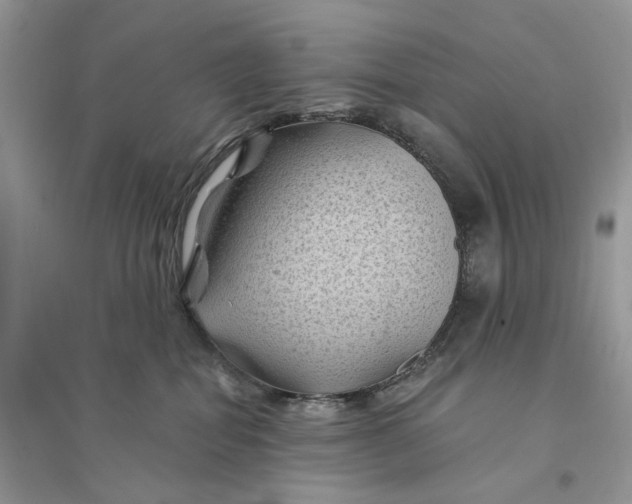 X0000094450282200711291706