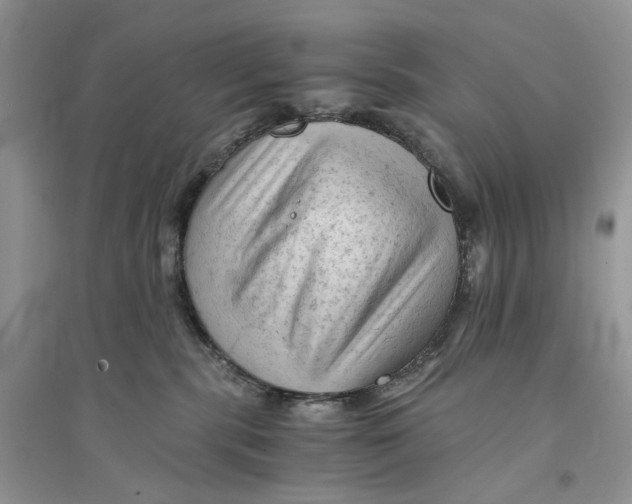 X0000094450283200711291706