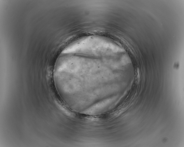 X0000094450284200711291706