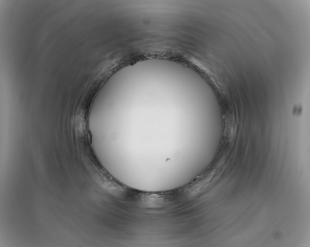 X0000094450287200711291706