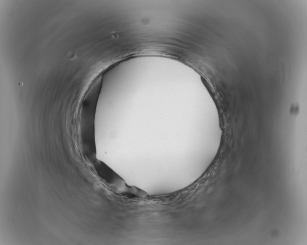 X0000094450289200711291705