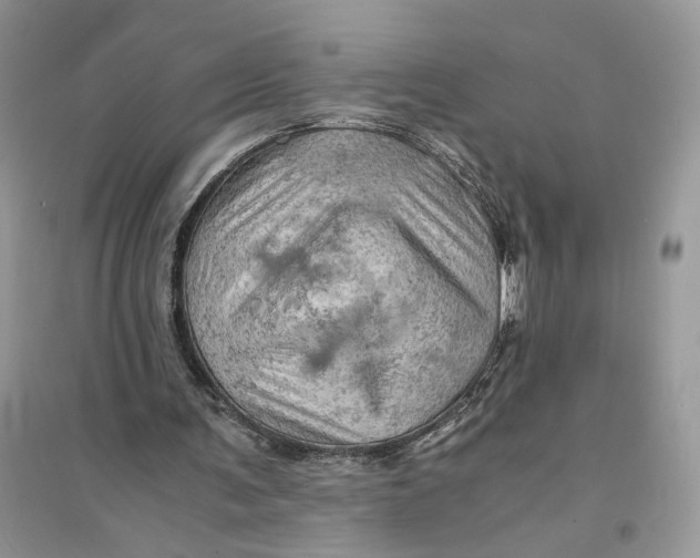 X0000094450291200711291705