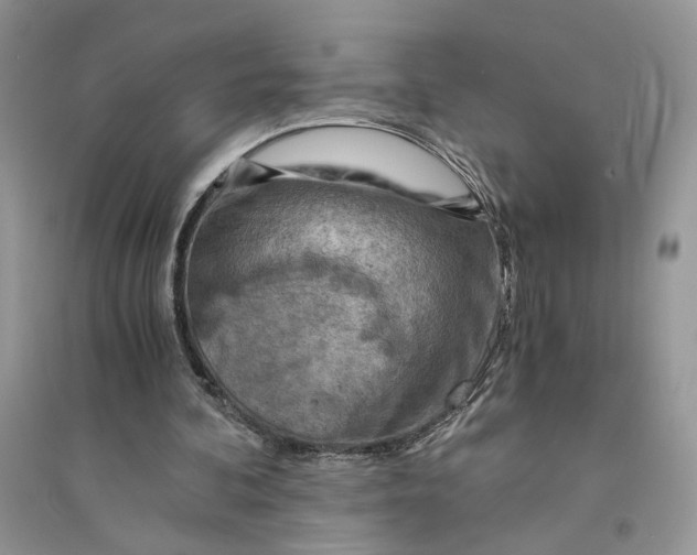 X0000094450292200711291705