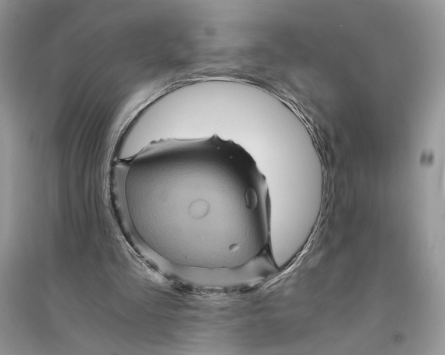 X0000094450293200711291705