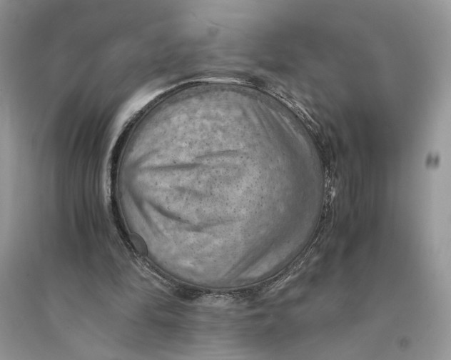 X0000094450294200711291705