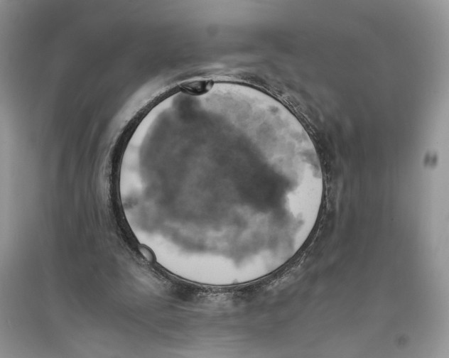 X0000094450295200711291705