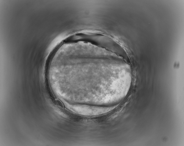 X0000094450296200711291705