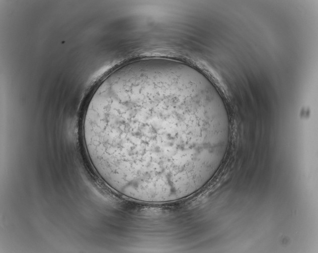 X0000094450298200711291705