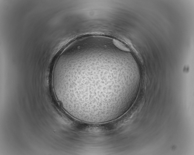 X0000094450299200711291705