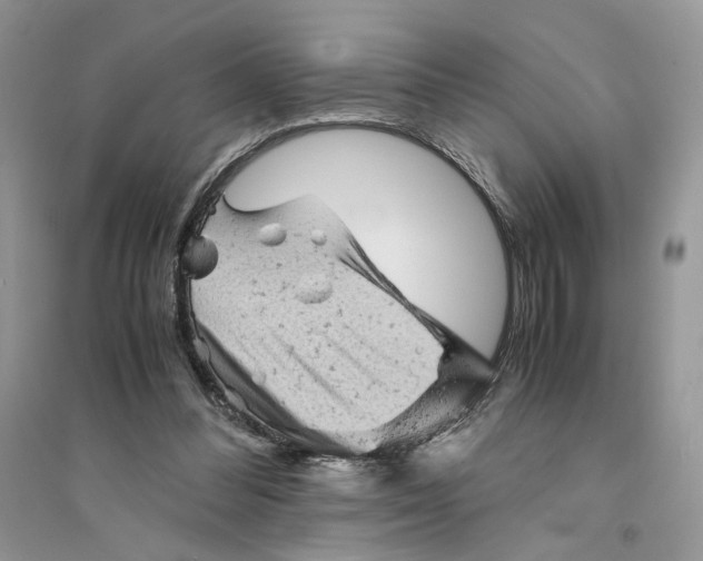 X0000094450300200711291705