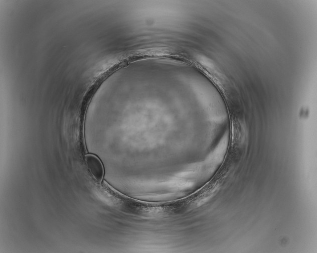 X0000094450301200711291705