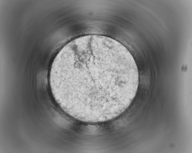 X0000094450302200711291705