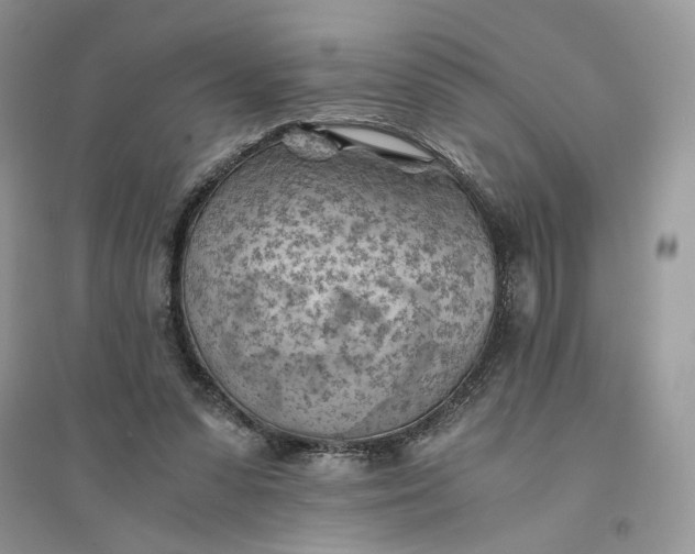 X0000094450303200711291705