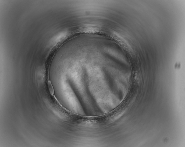 X0000094450304200711291705