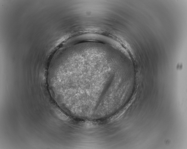 X0000094450305200711291705