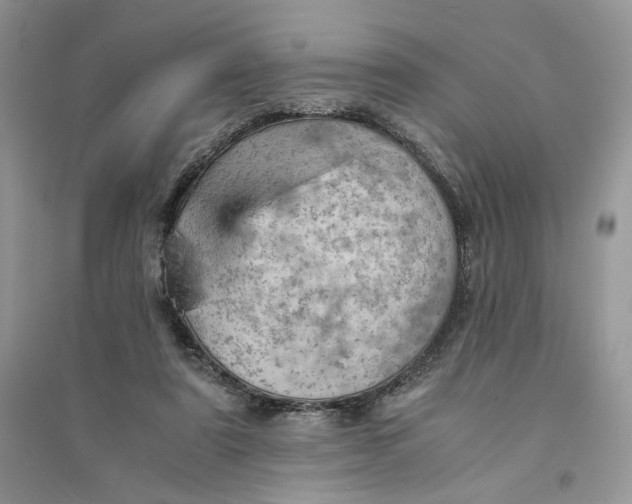 X0000094450307200711291705