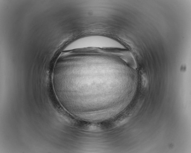 X0000094450308200711291705