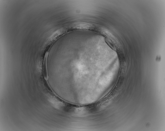 X0000094450309200711291705