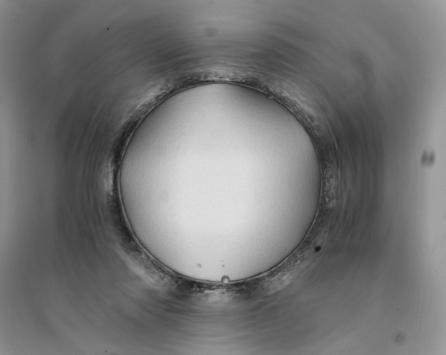 X0000094450310200711291705