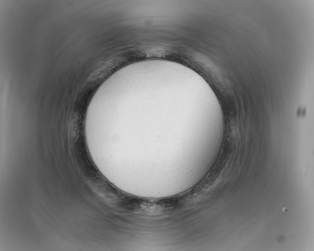 X0000094450311200711291705