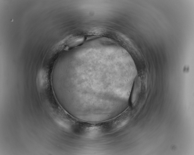 X0000094450312200711291705