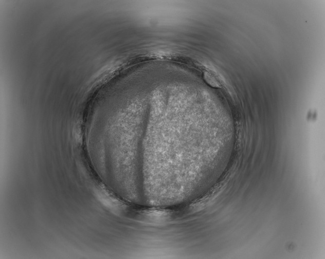 X0000094450313200711291705