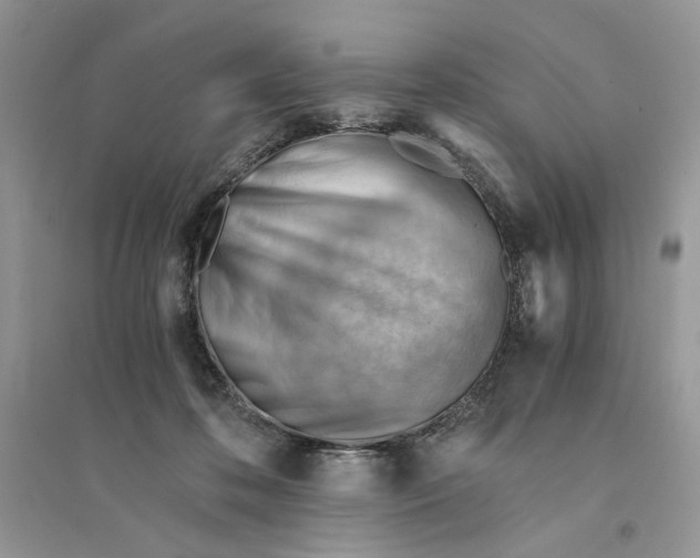 X0000094450316200711291705