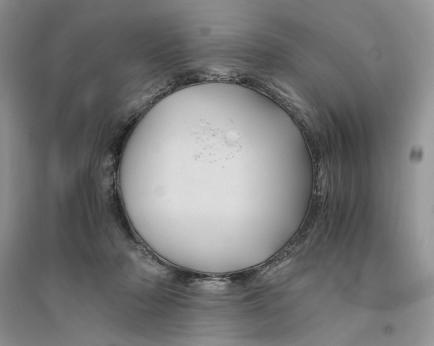 X0000094450318200711291705